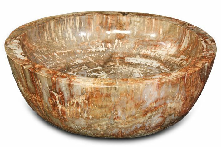 Polished Petrified Wood Bowl ( lbs) - Madagascar #317040